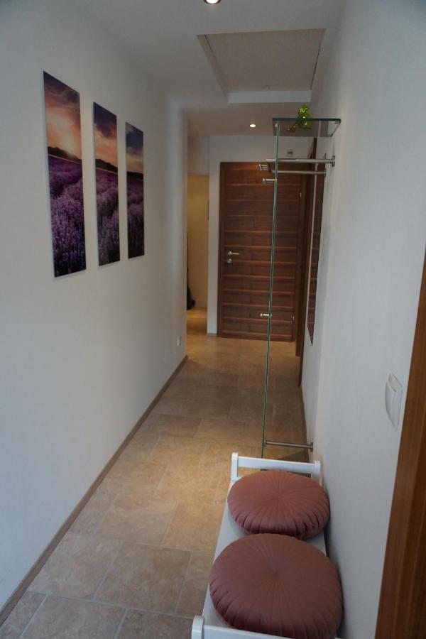 Appartement Winteraugut Werfen Esterno foto