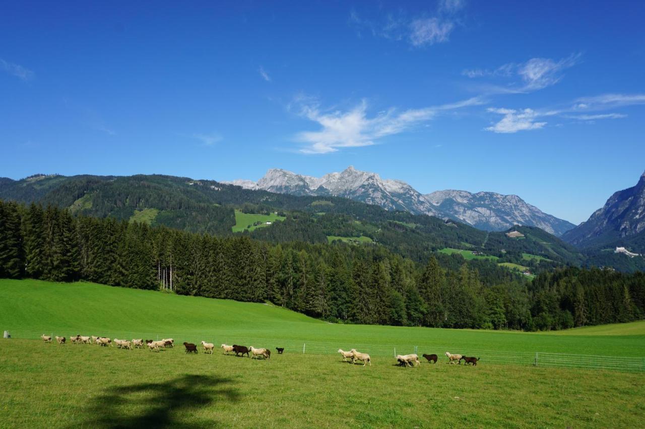Appartement Winteraugut Werfen Esterno foto