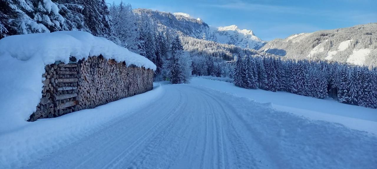 Appartement Winteraugut Werfen Esterno foto