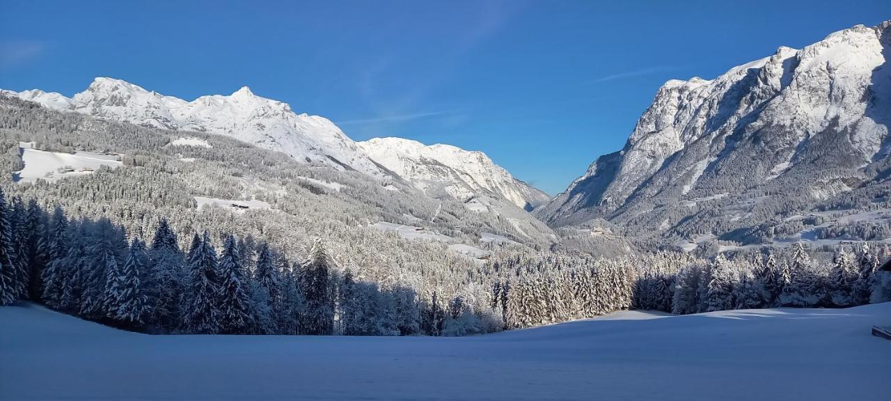 Appartement Winteraugut Werfen Esterno foto